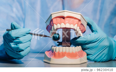 A dental doctor wearing blue gloves and a mask holds a dental model of the upper and lower jaws and a dental mirror 96230410