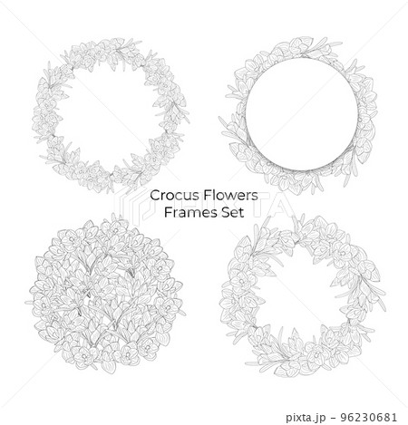 Romantic hand drawn crocus flowers wreaths set. Floral frames. 96230681