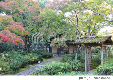 汎庵　万里庵　万博記念公園　日本庭園　紅葉　紅葉狩り　万博記念公園駅　茶室　和室　茶道　茶道部　 96230828
