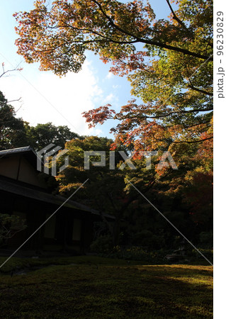 汎庵　万里庵　万博記念公園　日本庭園　紅葉　紅葉狩り　万博記念公園駅　茶室　和室　茶道　茶道部　 96230829