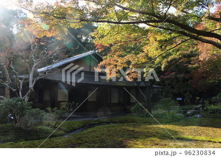 汎庵　万里庵　万博記念公園　日本庭園　紅葉　紅葉狩り　万博記念公園駅　茶室　和室　茶道　茶道部　 96230834