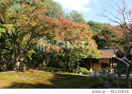 汎庵　万里庵　万博記念公園　日本庭園　紅葉　紅葉狩り　万博記念公園駅　茶室　和室　茶道　茶道部　 96230838