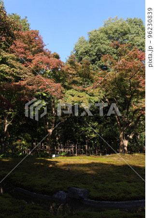 汎庵　万里庵　万博記念公園　日本庭園　紅葉　紅葉狩り　万博記念公園駅　茶室　和室　茶道　茶道部　 96230839