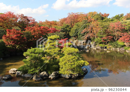 汎庵　万里庵　万博記念公園　日本庭園　紅葉　紅葉狩り　万博記念公園駅　茶室　和室　茶道　茶道部　 96230844