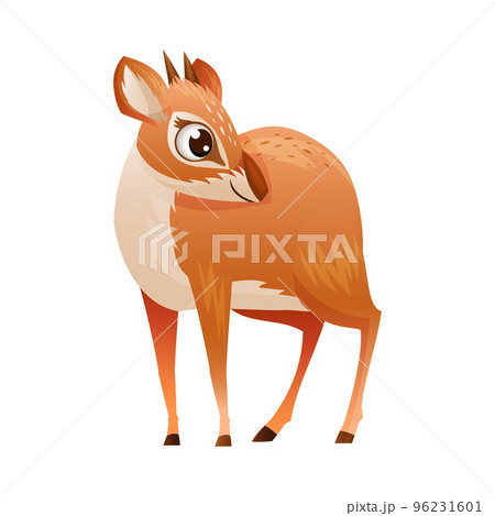 Standing Brown Dik-dik as African Small Antelope with Horns Vector Illustration 96231601