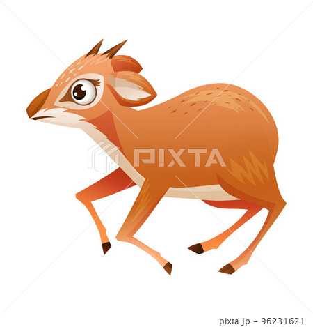 Running Brown Dik-dik as African Small Antelope with Horns Vector Illustration Running Brown Dik-dik as African Small Antelope with Horns Vector Illustration 96231621