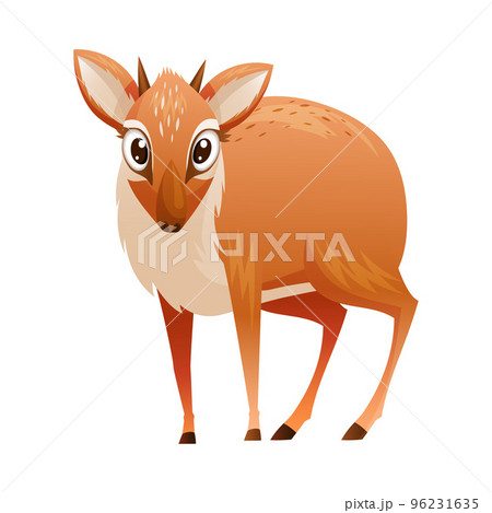 Standing Brown Dik-dik as African Small Antelope with Horns Vector Illustration Standing Brown Dik-dik as African Small Antelope with Horns Vector Illustration 96231635