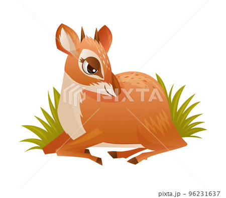 Brown Dik-dik as African Small Antelope with Horns Sitting in Green Grass Vector Illustration Brown Dik-dik as African Small Antelope with Horns Sitting in Green Grass Vector Illustration 96231637