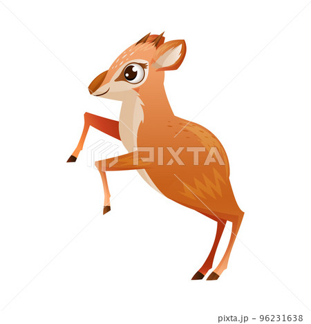 Brown Dik-dik as African Small Antelope with Horns Standing on Hind Legs Vector Illustration 96231638