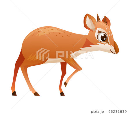 Walking Brown Dik-dik as African Small Antelope with Horns Vector Illustration 96231639