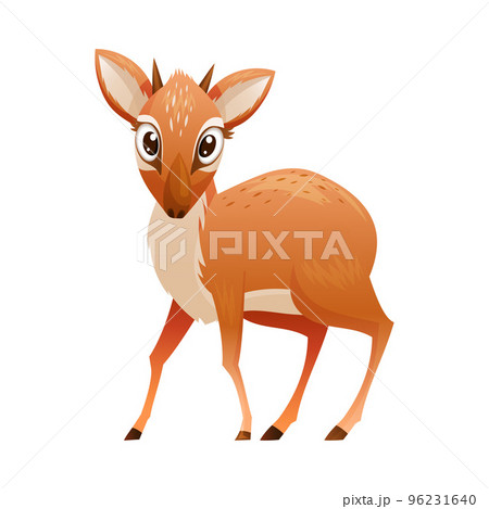 Standing Brown Dik-dik as African Small Antelope with Horns Vector Illustration 96231640