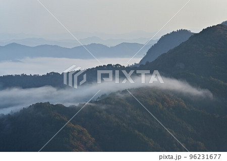 金山城跡の雲海 96231677