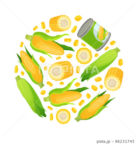 Sweet corn of circular shape. Natural organic farm product backdrop, packaging, banner, poster desgn cartoon vector 96231745