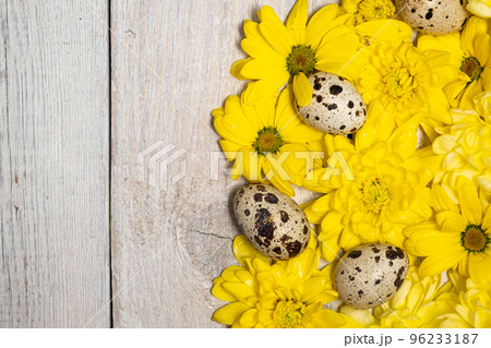 yellow flowers and quail eggs on a white wooden table. Easter decor 96233187