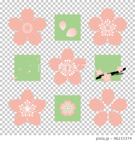 春色櫻花套裝-白色背景 96233374