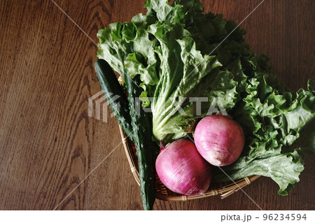 朝どれ野菜 アップ 朝どれ野菜 アップ 96234594
