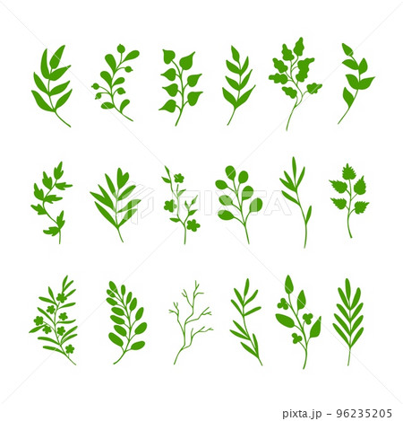 Green leaves and twigs. Hand drawn springtime set of design elements Green leaves and twigs. Hand drawn springtime set of design elements 96235205