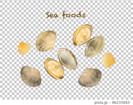 Illustration hand drawn set material of seafood - shellfish - clams 96235683