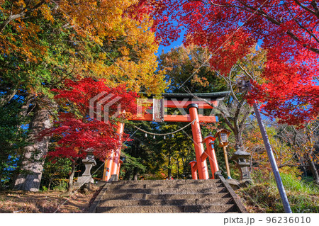 山梨県富士吉田市 紅葉に染まる新倉富士浅間神社の鳥居 山梨県富士吉田市 紅葉に染まる新倉富士浅間神社の鳥居 96236010