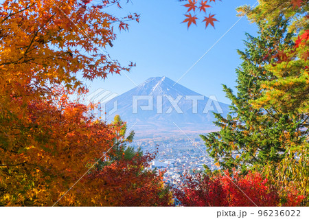 山梨県富士吉田市 紅葉の間から覗く富士山 新倉富士浅間神社、さくや姫階段から 96236022