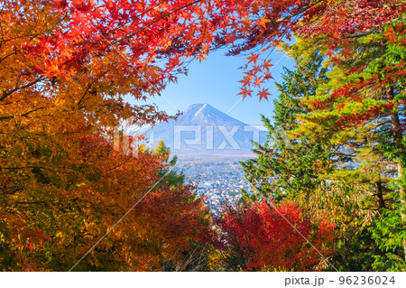 山梨県富士吉田市 紅葉の間から覗く富士山 新倉富士浅間神社、さくや姫階段から 96236024
