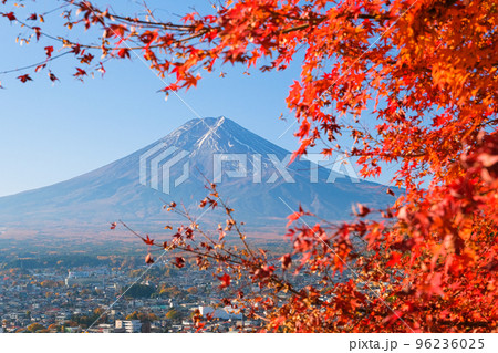 山梨県富士吉田市 紅葉の間から覗く富士山 新倉富士浅間神社、さくや姫階段から 96236025