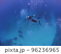 人魚のように素潜りするダイバー 96236965
