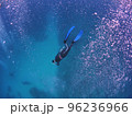 人魚のように素潜りするダイバー 96236966