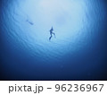 人魚のように素潜りするダイバー 96236967