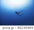 人魚のように素潜りするダイバー 96236969
