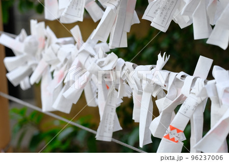 神社に奉納されたおみくじ 96237006