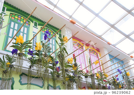 ガーデンズ・バイ・ザ・ベイ植物園のシンガポールのプラナカン建築物 ガーデンズ・バイ・ザ・ベイ植物園のシンガポールのプラナカン建築物 96239062