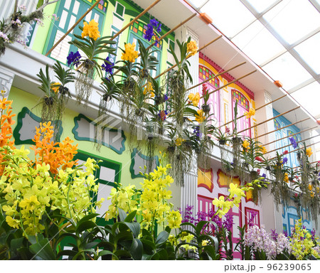 ガーデンズ・バイ・ザ・ベイ植物園のシンガポールのプラナカン建築物 96239065