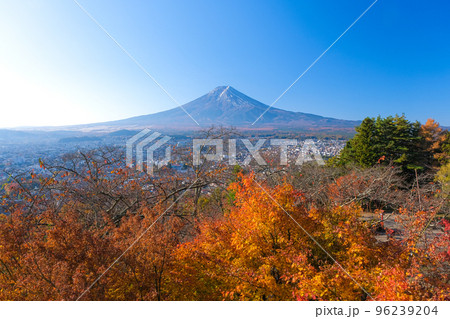 山梨県富士吉田市 秋の新倉山浅間公園から見る富士山 山梨県富士吉田市 秋の新倉山浅間公園から見る富士山 96239204