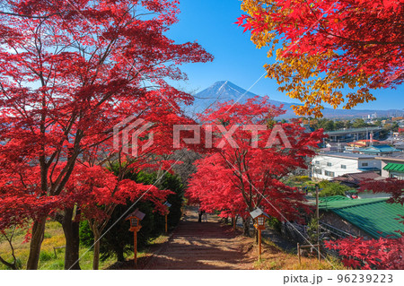 山梨県富士吉田市 紅葉と富士山が見える新倉富士浅間神社の参道 96239223