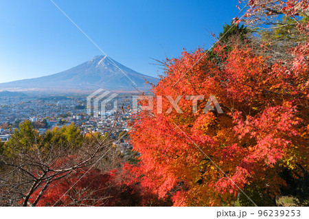 山梨県富士吉田市 新倉富士浅間神社、さくや姫階段から見える紅葉と富士山 山梨県富士吉田市 新倉富士浅間神社、さくや姫階段から見える紅葉と富士山 96239253