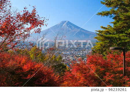 山梨県富士吉田市 紅葉の間から覗く富士山 新倉富士浅間神社、さくや姫階段から 96239261