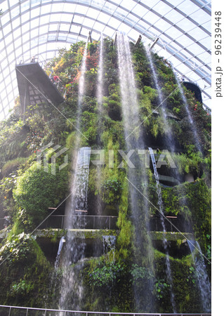 ガーデンズ・バイ・ザ・ベイの大迫力のクラウド・フォレスト ガーデンズ・バイ・ザ・ベイの大迫力のクラウド・フォレスト 96239448