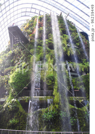 ガーデンズ・バイ・ザ・ベイの大迫力のクラウド・フォレスト 96239449