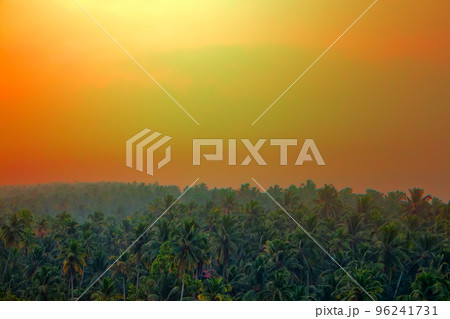 jungle tropical Paradise at sunset wide landscape. jungle tropical Paradise at sunset wide landscape. 96241731