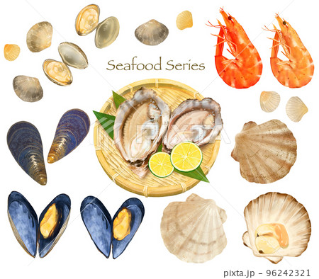 海の幸ー貝ーエビーシーフードシリーズのイラスト手描きセット素材 96242321