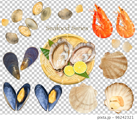 海の幸ー貝ーエビーシーフードシリーズのイラスト手描きセット素材 96242321