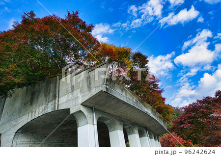 丹沢湖畔の洞門の紅葉と青空 96242624