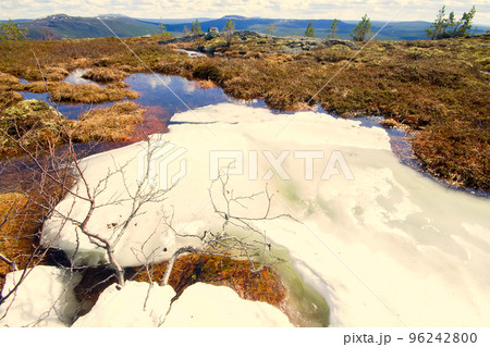 Spring in the mountains. Beautiful landscape Spring in the mountains. Beautiful landscape 96242800