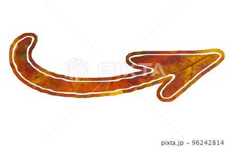 bio Arrow bio Arrow 96242814