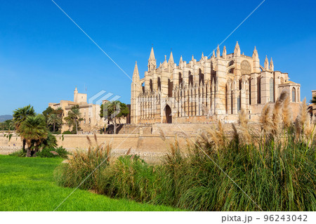 Catedral-Basilica de Santa Maria de Mallorca in Palma, Balearic Islands, Spain 96243042