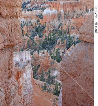 Red hoodoos and forest framed by two red natural walls in Bryce Canyon, USA  96243096