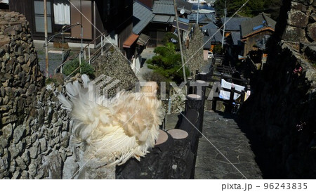 こっこと地元探索 こっこと地元探索 96243835