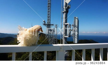 こっこと地元探索 こっこと地元探索 96243864