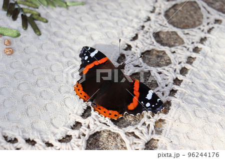 photo butterfly admiral sits on an embroidered napkin in the village 96244176